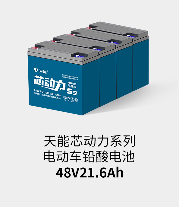 佰利乐电池48v20ah