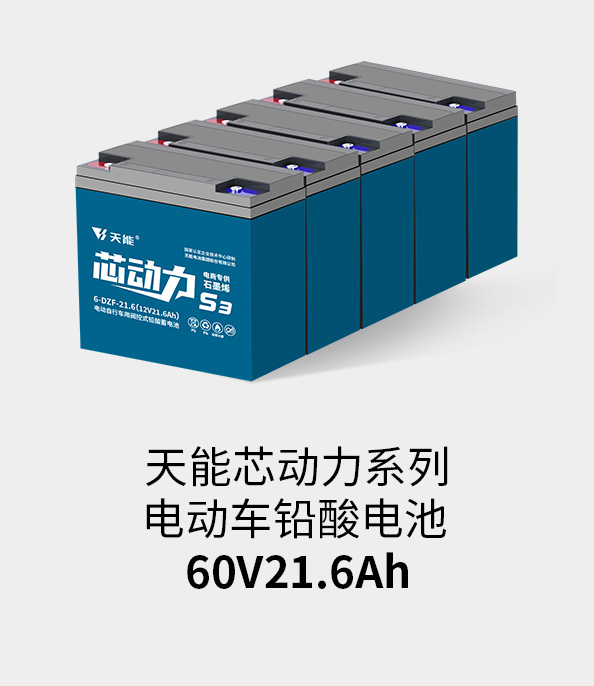 佰利乐电池60v20ah
