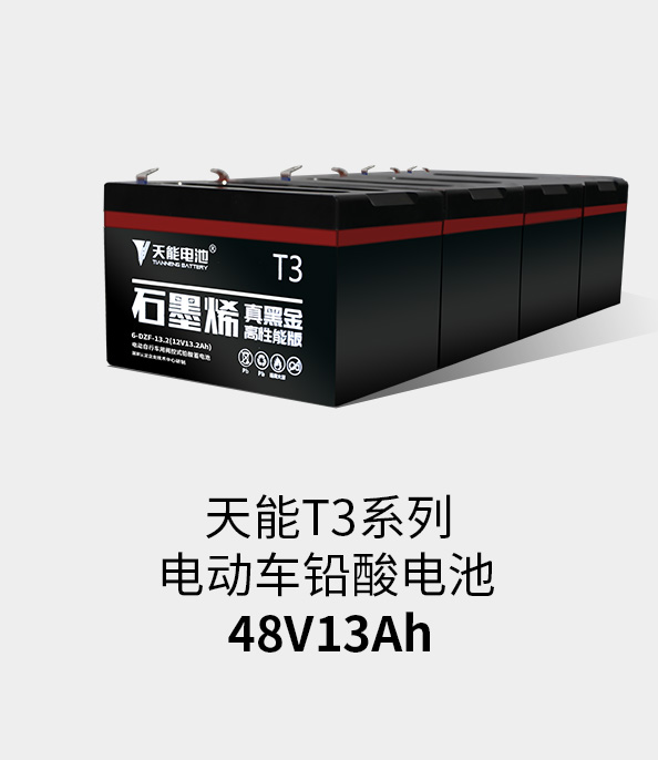 佰利乐T3系列48v13ah
