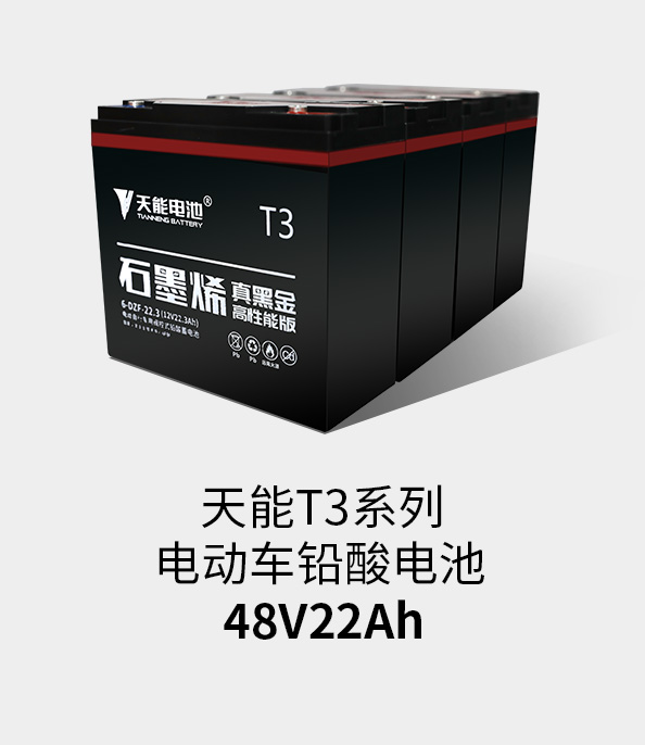 佰利乐T3系列48v22ah
