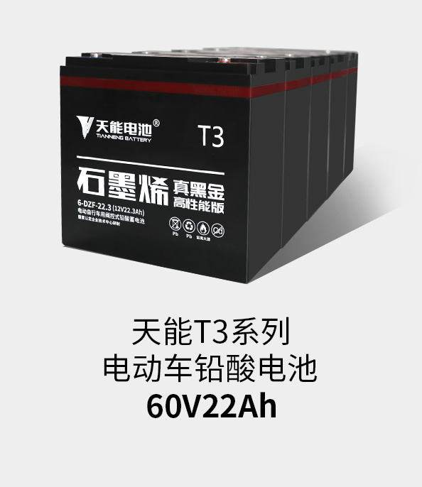 佰利乐T3系列60v22ah