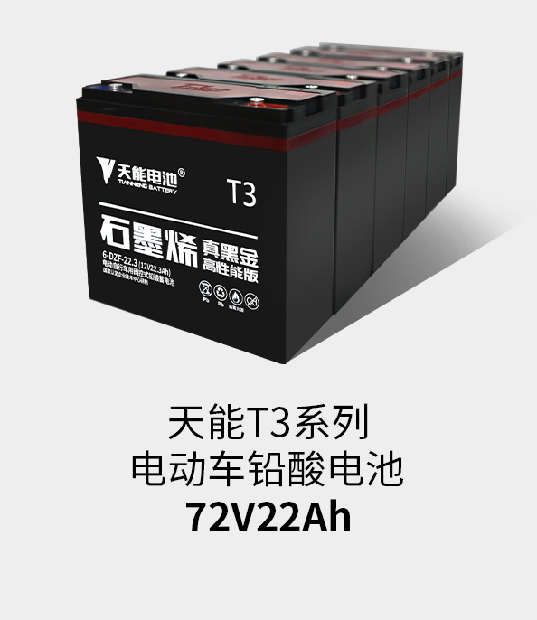 佰利乐T3系列72v22ah